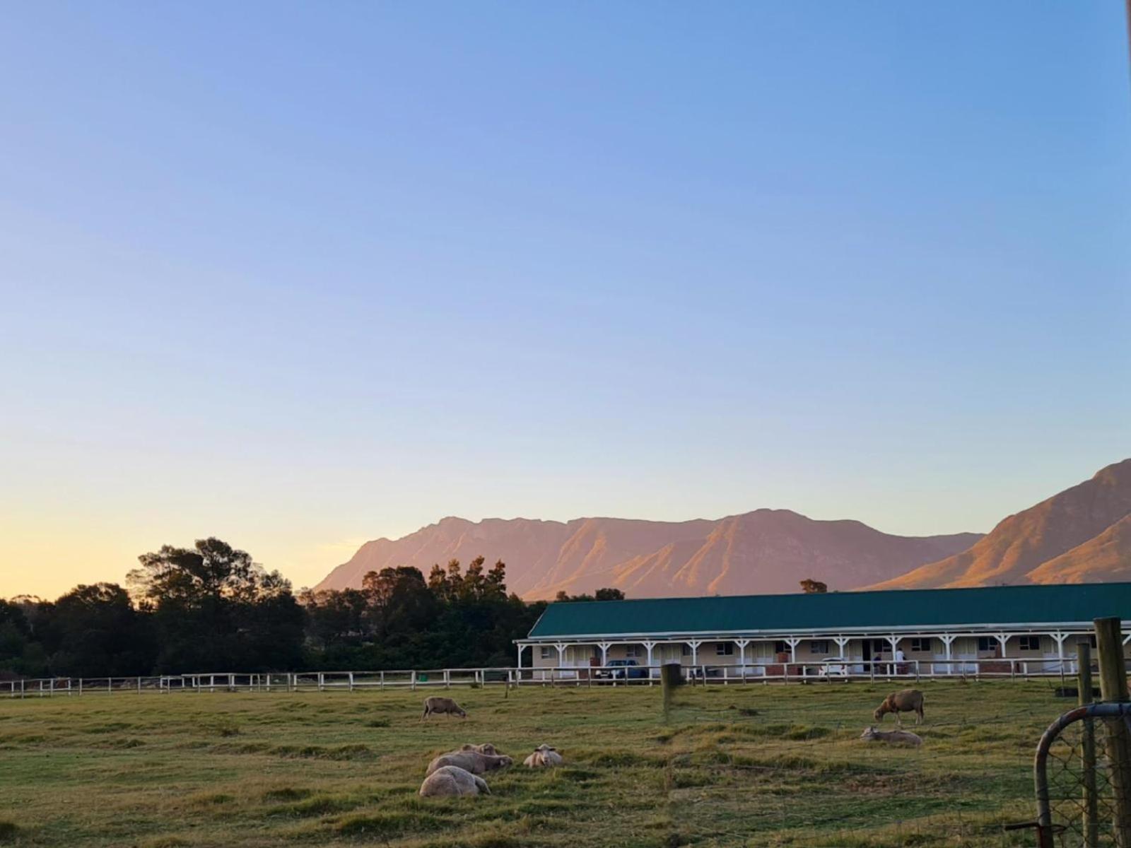 Blue Mountain Farm Lodge, Cabins & Cottages Swellendam Exterior foto