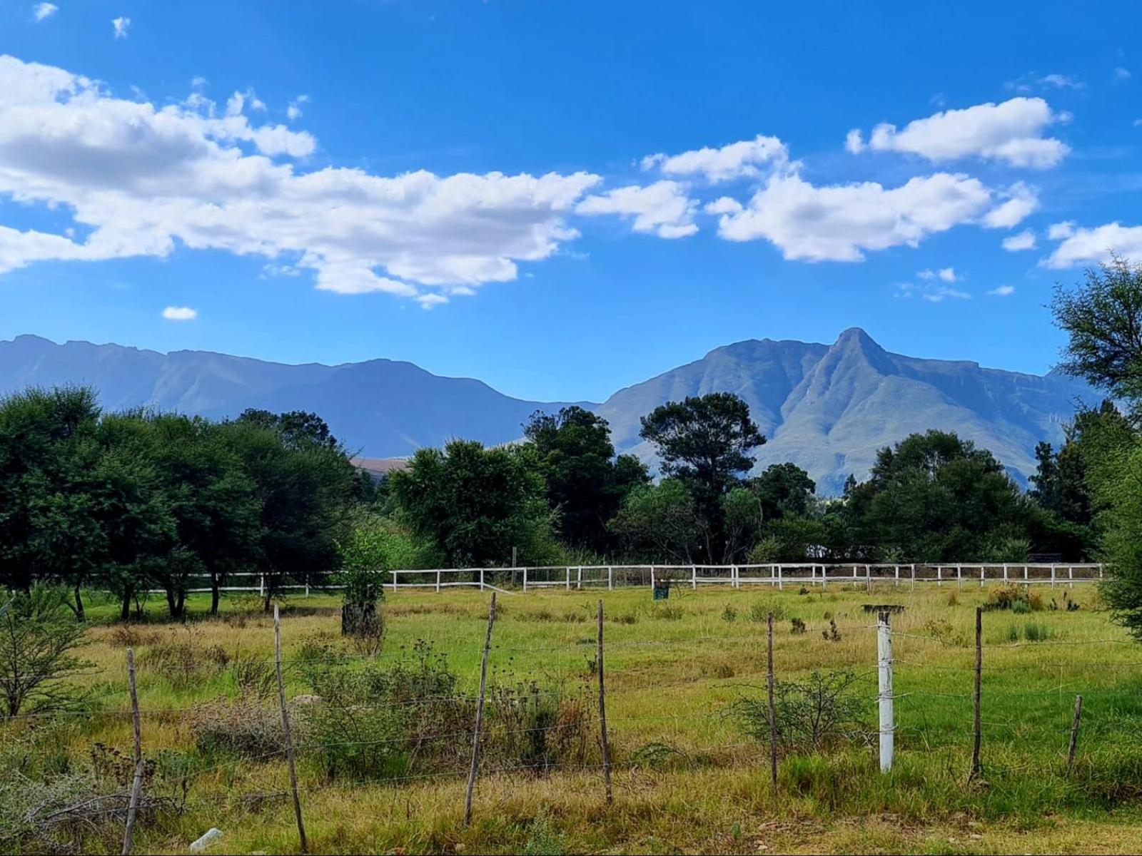 Blue Mountain Farm Lodge, Cabins & Cottages Swellendam Exterior foto